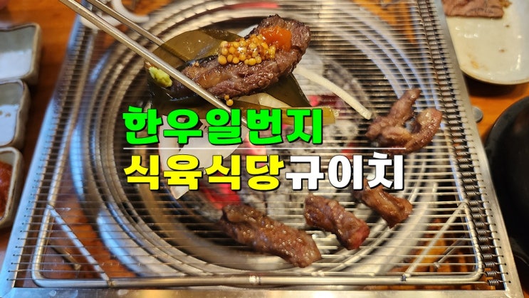 광주 첨단 맛집 · 한우일번지식육식당 규이치 한우 소고기구이 광주 첨단 맛집 · 한우일번지식육식당 규이치 한우 소고기구이