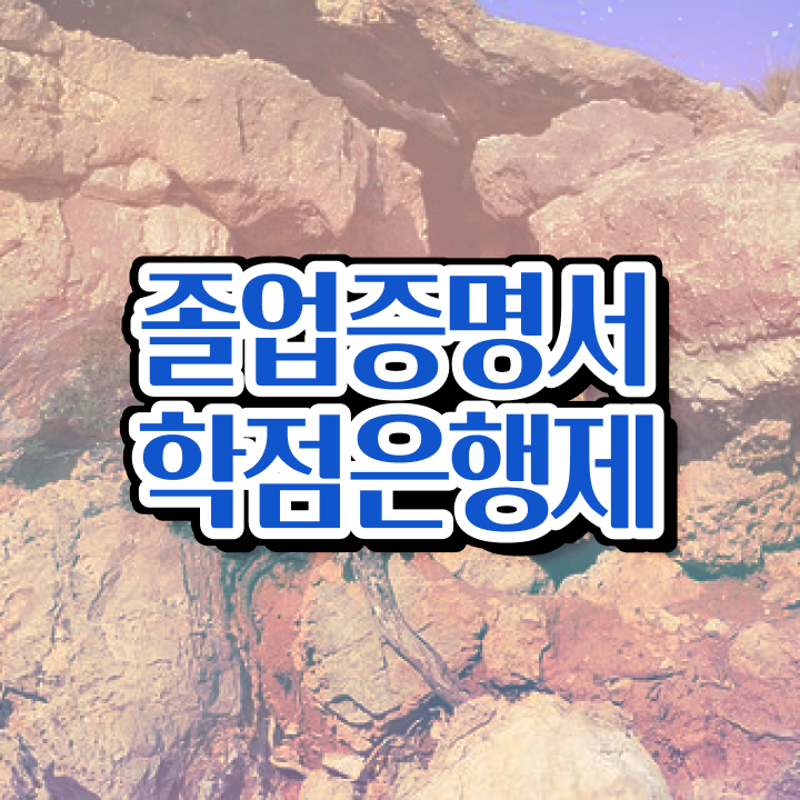  학점은행제 대학 , 학은제 플래너 가 도와줘서 목표였던 학위를 취득했어요