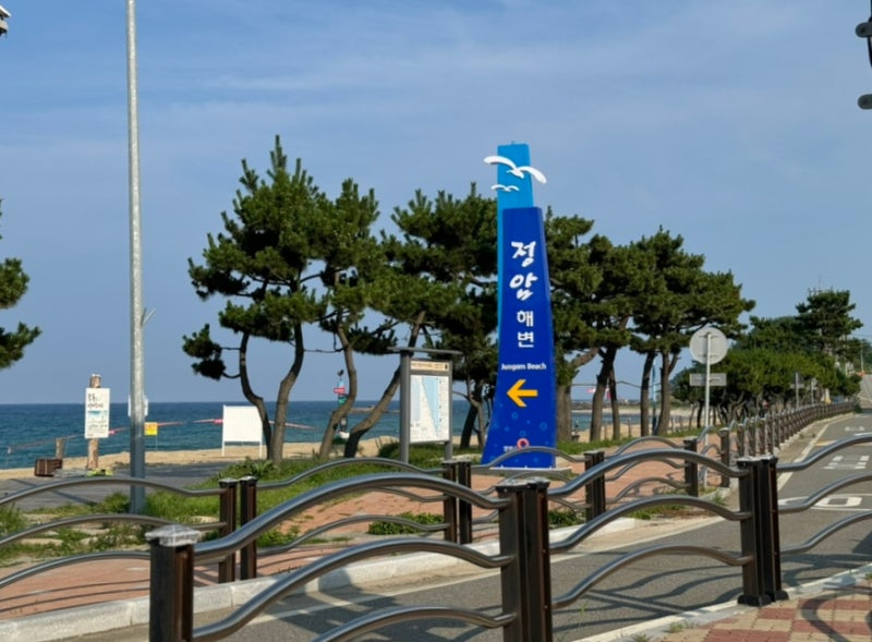 사진 3