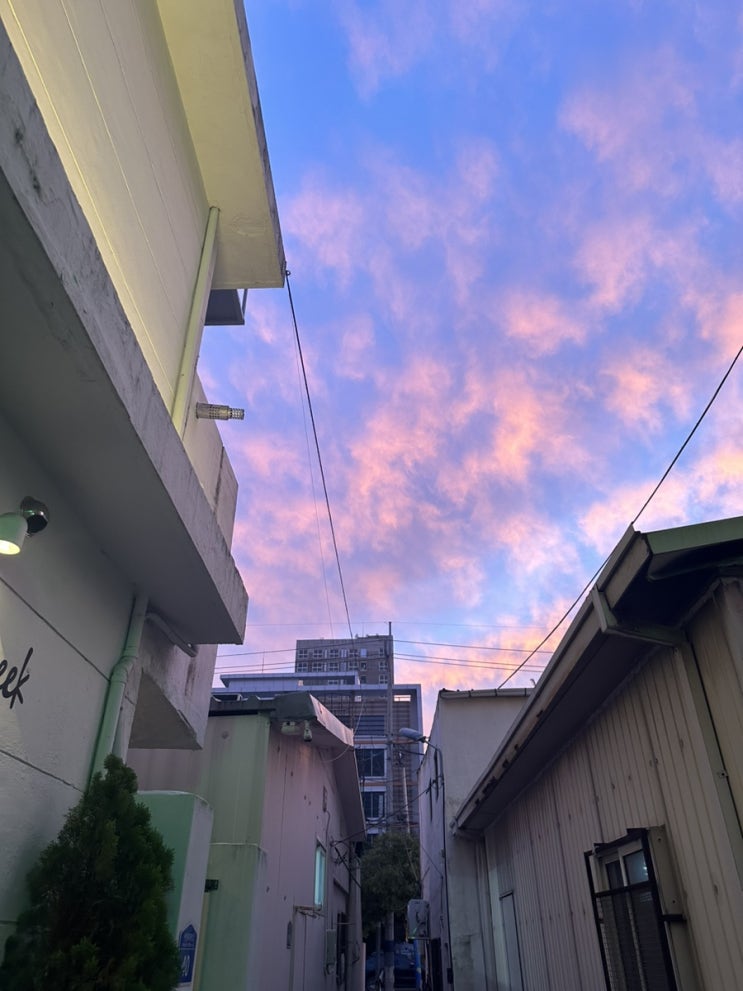  [일상] 둥근 해는 또 떴지만 그럼에도.