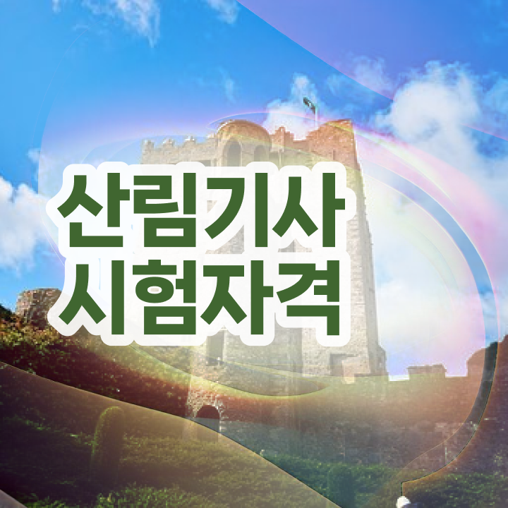  산림기사 관련학과 산림기사 응시조건 인강만 듣고 4달 안에 완료한 노하우