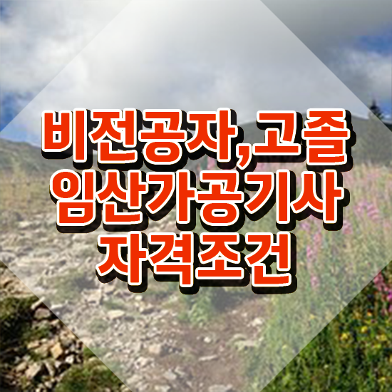  임산가공기사 응시자격 독학으로 4달 안에 끝낸 전략