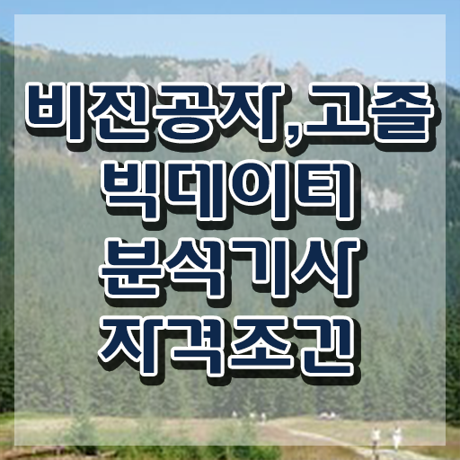  빅데이터분석기사 필기 후기 빅데이터분석기사 응시조건 온라인으로 빠르게 성공한 과정
