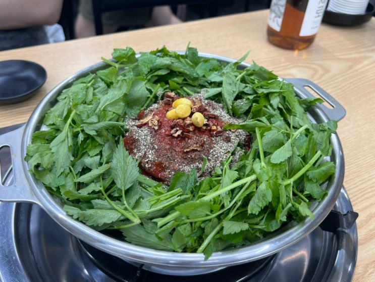  신논현 맛집 오리고기 몸보신 회식 술안주 청도 미나리 식당 신논현점