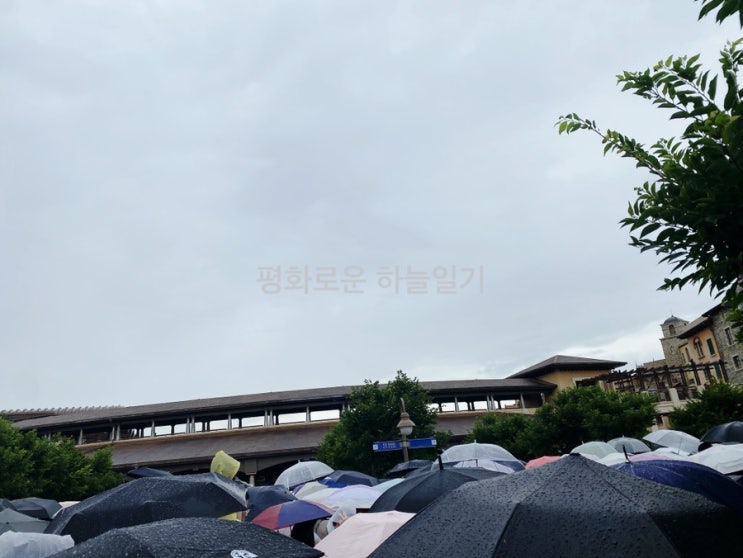  일본 도쿄여행 3Day, 4Day | 디즈니씨 | 디즈니씨 꿀팁, 오픈런 | 스타벅스 | 스페셜 포토덤프