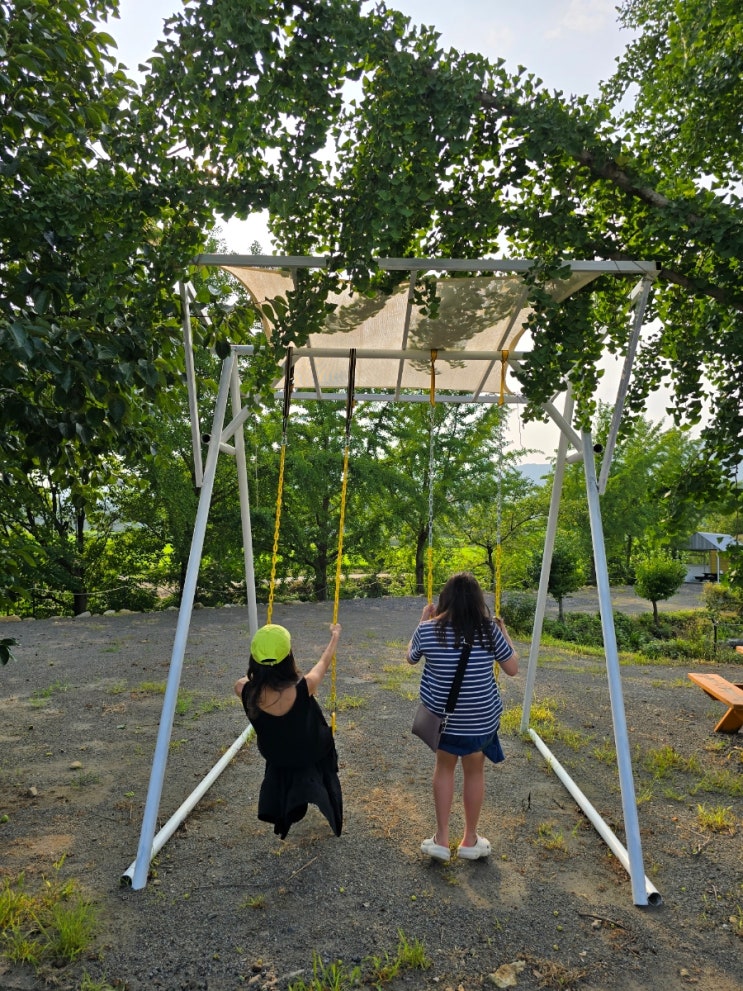  대전근교 여름여행 동물먹이주기 시골 농장체험 아이들과 캠핑 정촌유기농원