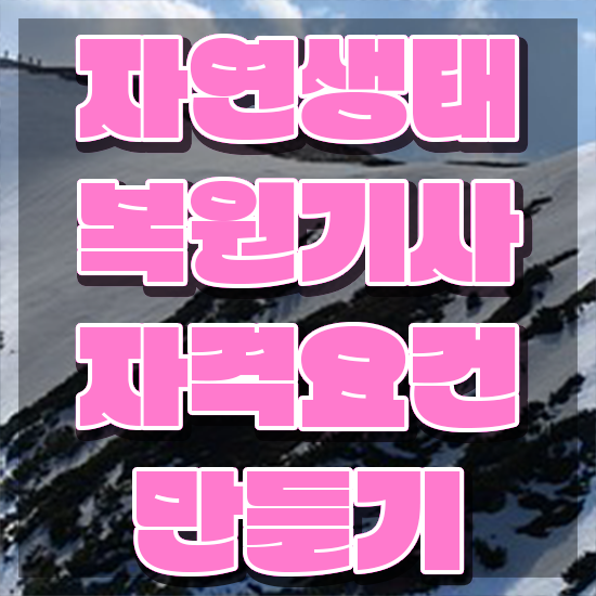  자연생태복원기사 시험응시자격 온라인 수업으로 1학기에 성공한 방법