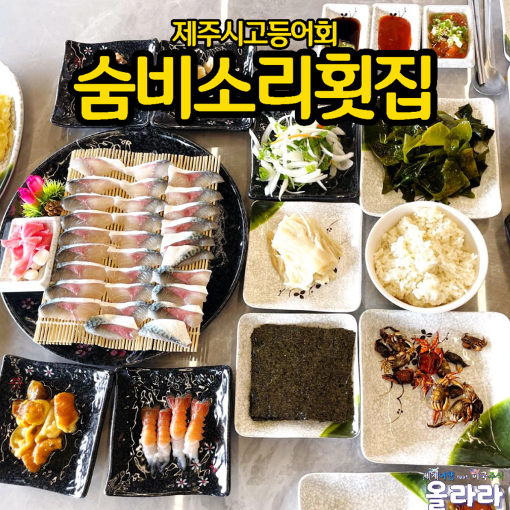  제주시고등어회 숨비소리횟집 공항 근처 맛집