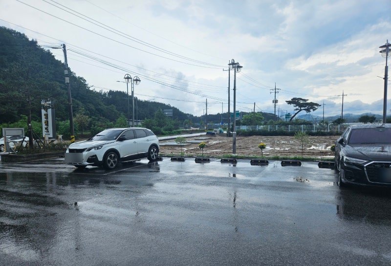사진 7