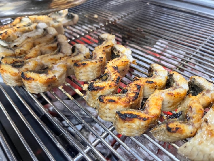  대전 장어 맛집 봉산동 대청장어가 본점에서 장어구이 먹은 후기