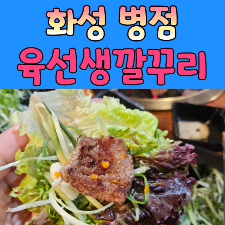 병점 고기집 신선한 정육식당 [ 육선생깔꾸리 ]