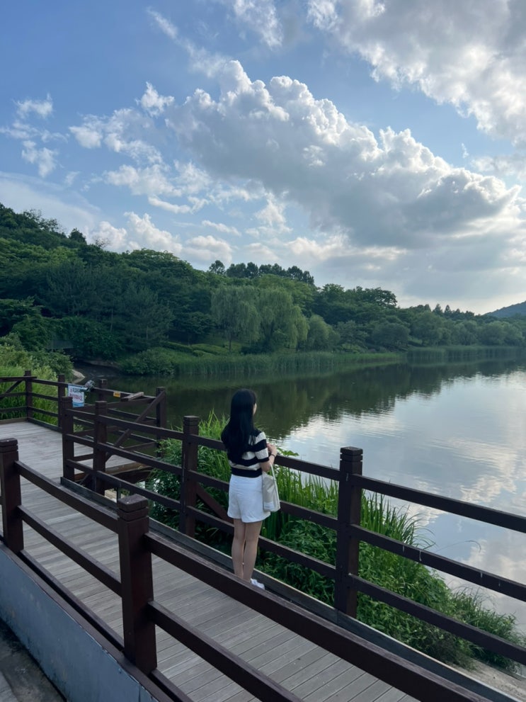  인천대공원 산책/수목원 온실/매점/주차/24년 11월 5일까지 정문 공사 중