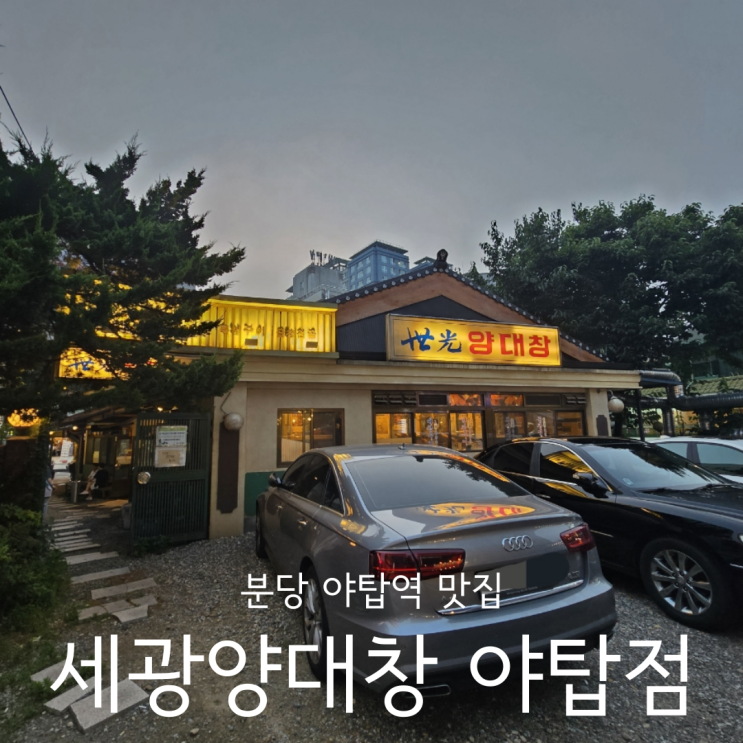  분당 야탑역맛집 대창 막창 특양 안주 좋은 술집 세광양대창 야탑점