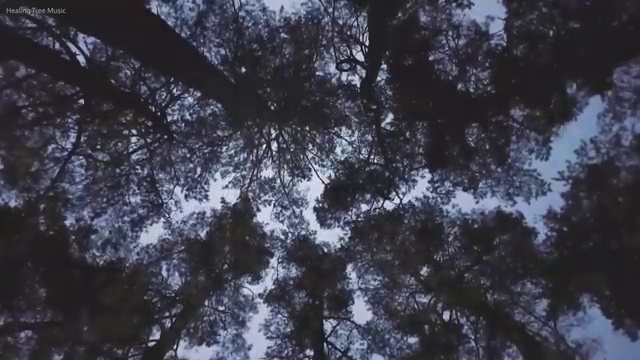  교통사고감정사 , 자격증 취득 후 전망