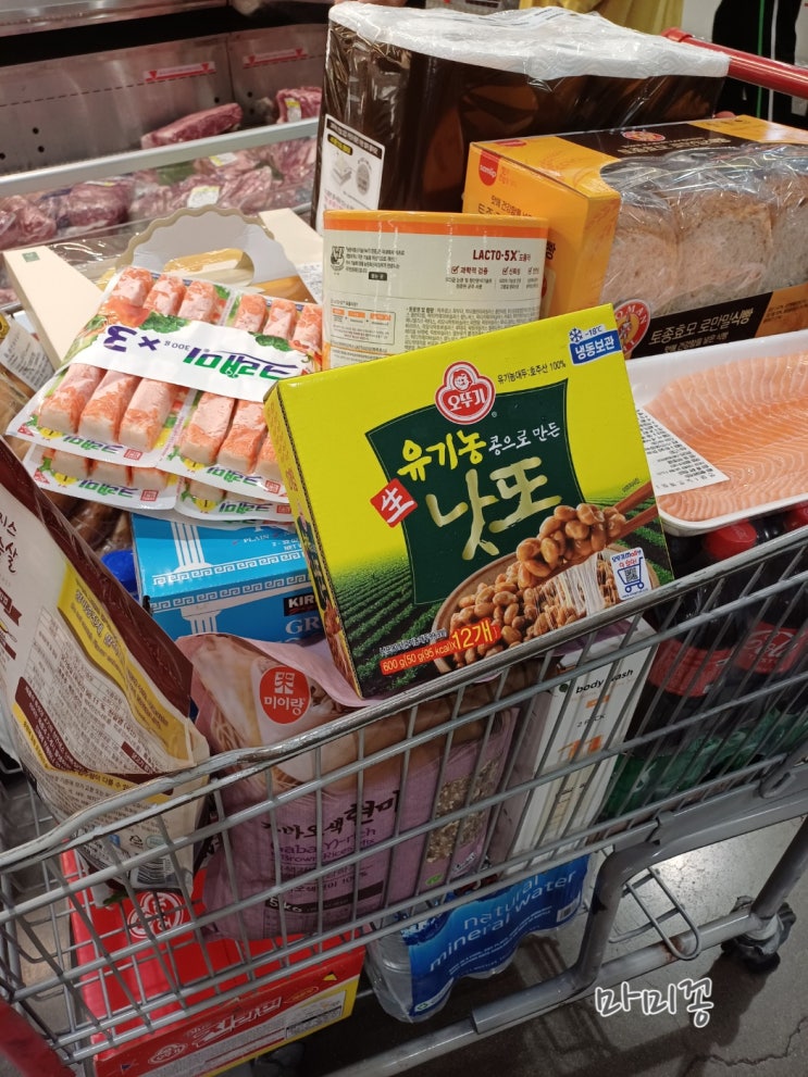  코스트코 부산점 영업시간 휴무일 코스트코 상품권 회원가입 쇼핑리스트 베스트 추천상품