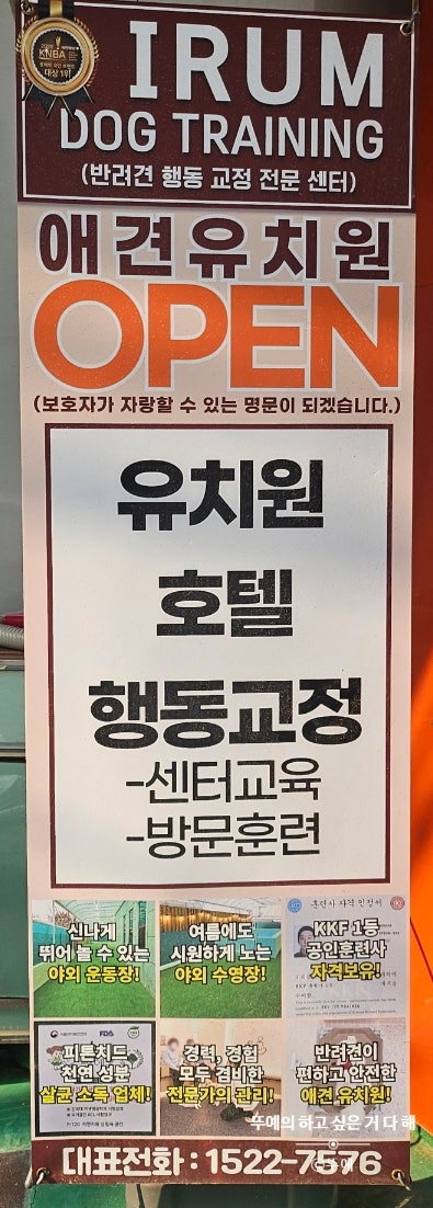 사진 6