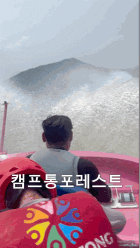  가평 깨끗한 빠지 캠프통포레스트 수상레저, BBQ, 숙박 포함 패키지 추천 이유