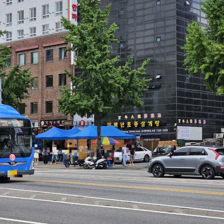  홍대 백년토종삼계탕, 복날은 복날인가 보다