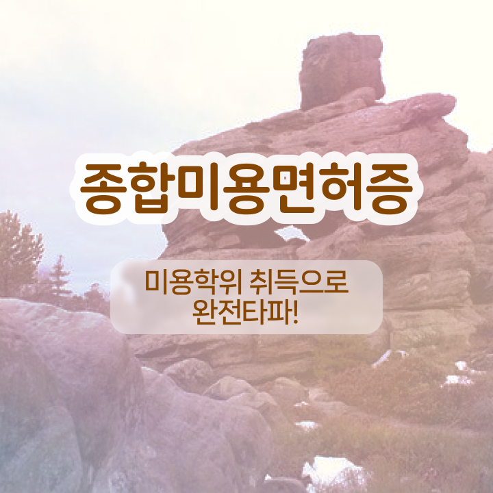  반영구눈썹 문신 , 반영구학원 준비 할 때 합격해야 하는 조건들