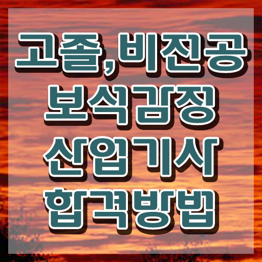  보석감정산업기사 응시자격 온라인 수업으로 빠르게 준비한 팁