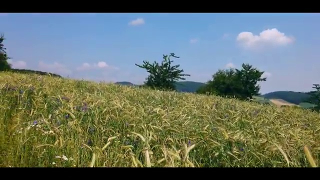  교통사고 분석사 , 간단하게 준비한 전략