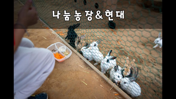  나눔농장, 현대 스튜디오 고양
