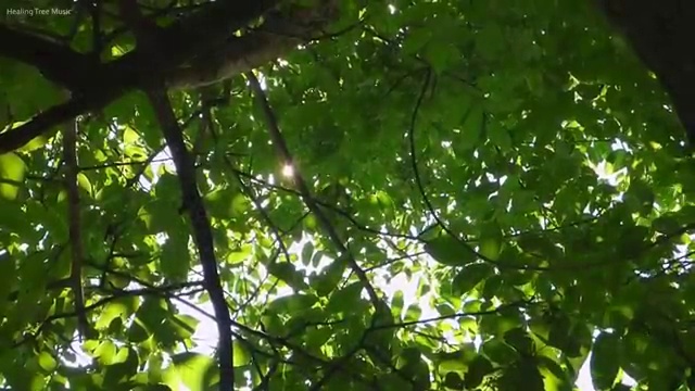  교통사고 감정사 , 초단기 완료한 노하우