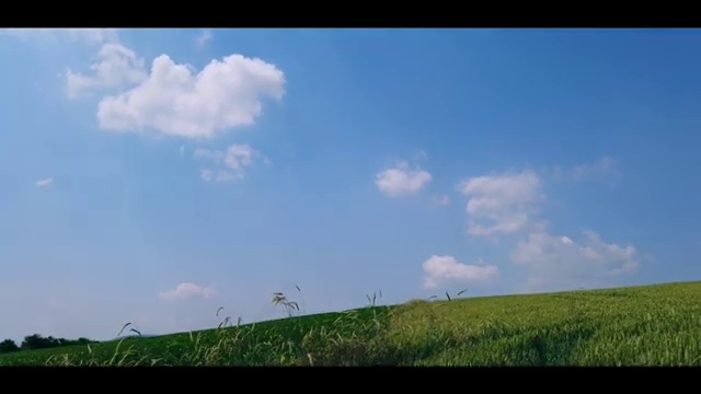  교통사고분석사 , 자격증 취득한 노하우