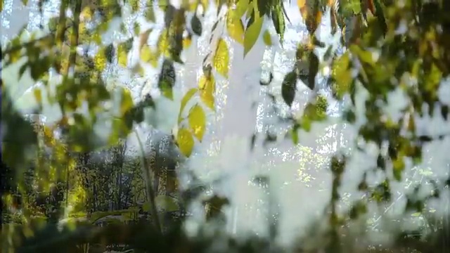  도로교통사고감정사 , 자격증 학습과정