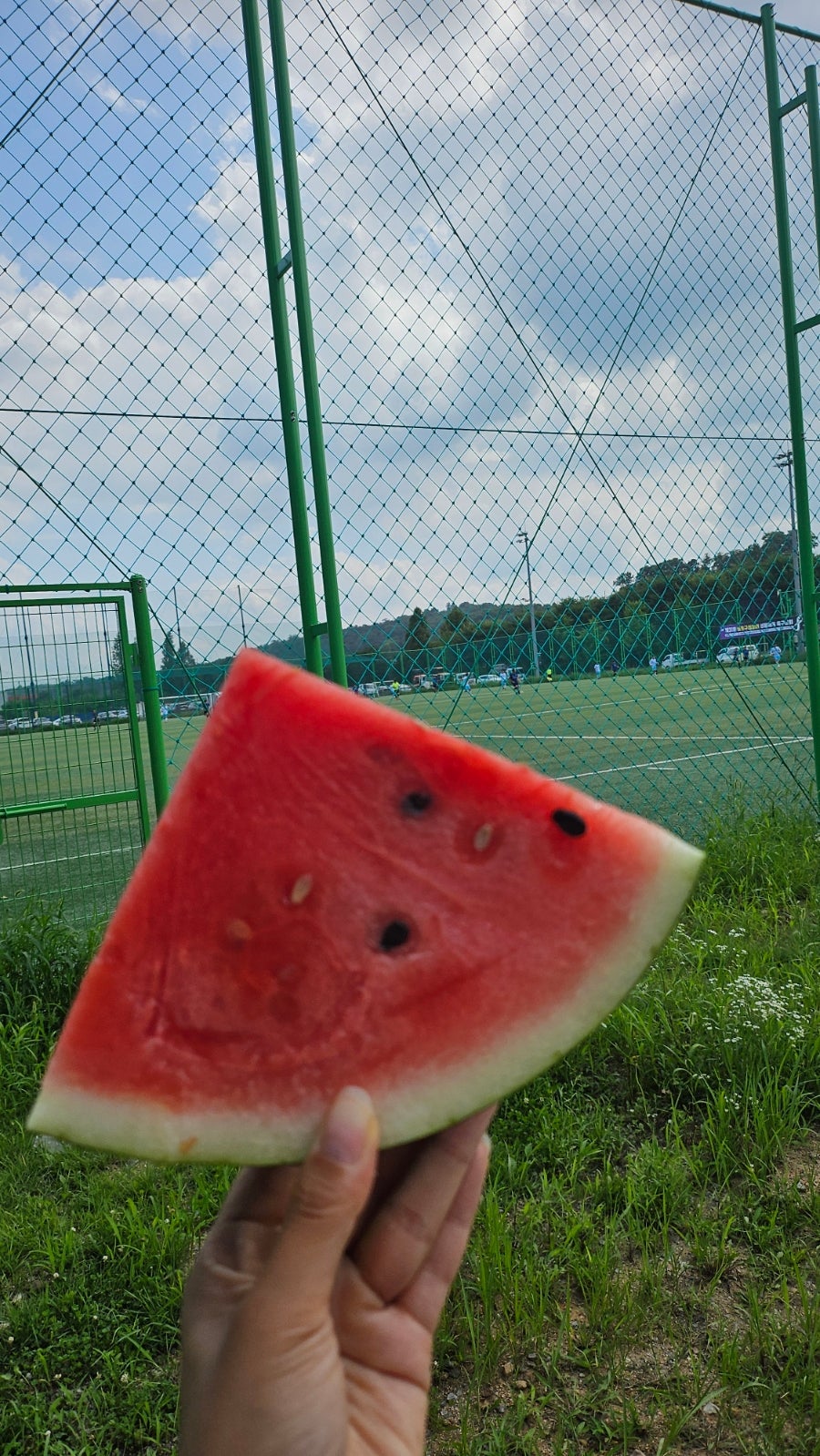 완도집 사진 3
