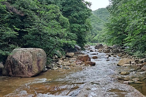 전음사 이미지