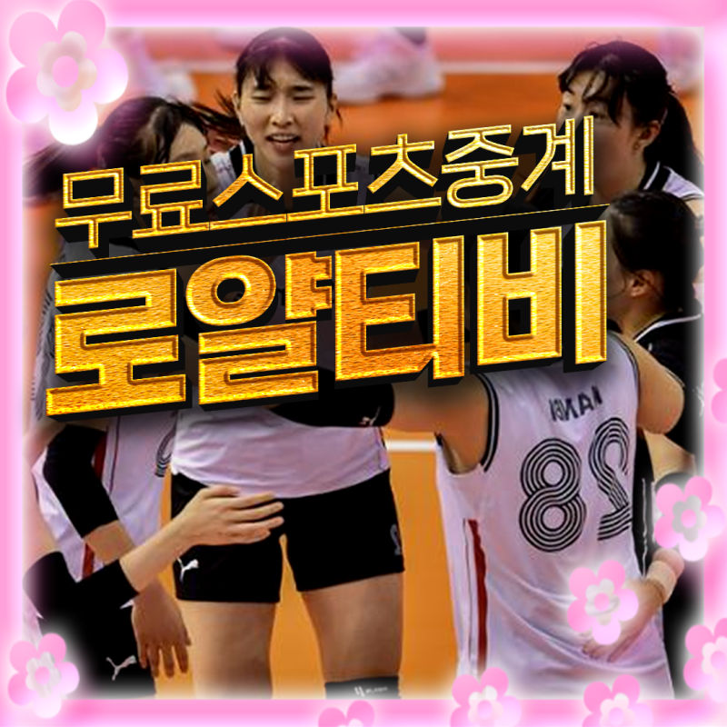 흥국생명핑크스파이더스 팀 소개