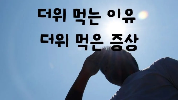  더위 먹은 증상 체온 낮추는 법 일사병 열사병 차이