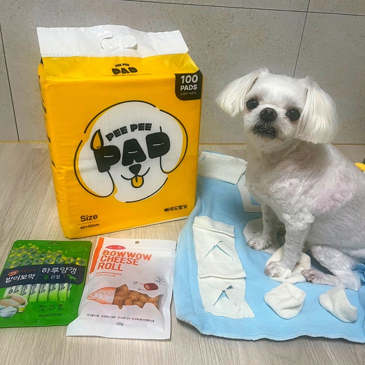  송도강아지간식 인천애견용품 아무도없개 24시 무인매장