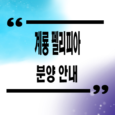  계룡 펠리피아 신축아파트 엄사리 미분양 선착순 동호지정 분양가 잔여세대 문의