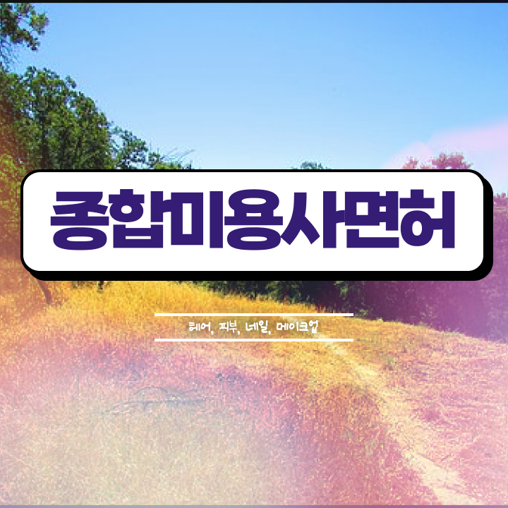  네일디자인모음 , 네일아트국가자격증 오픈 할 때, 챙겨야 하는 자격증은?