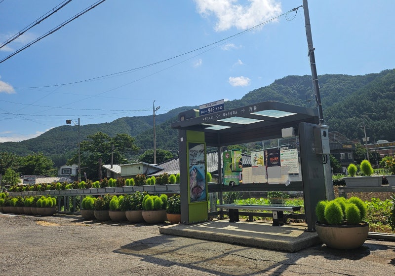 서오지리 연꽃단지