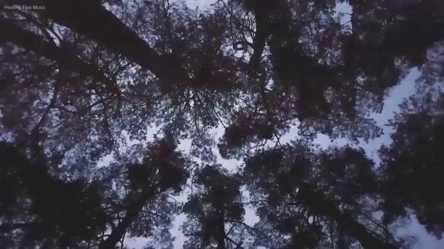  교통사고 감정사 , 자격증 학습방법