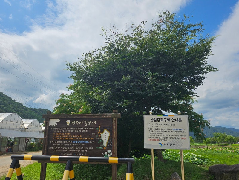 사진 2