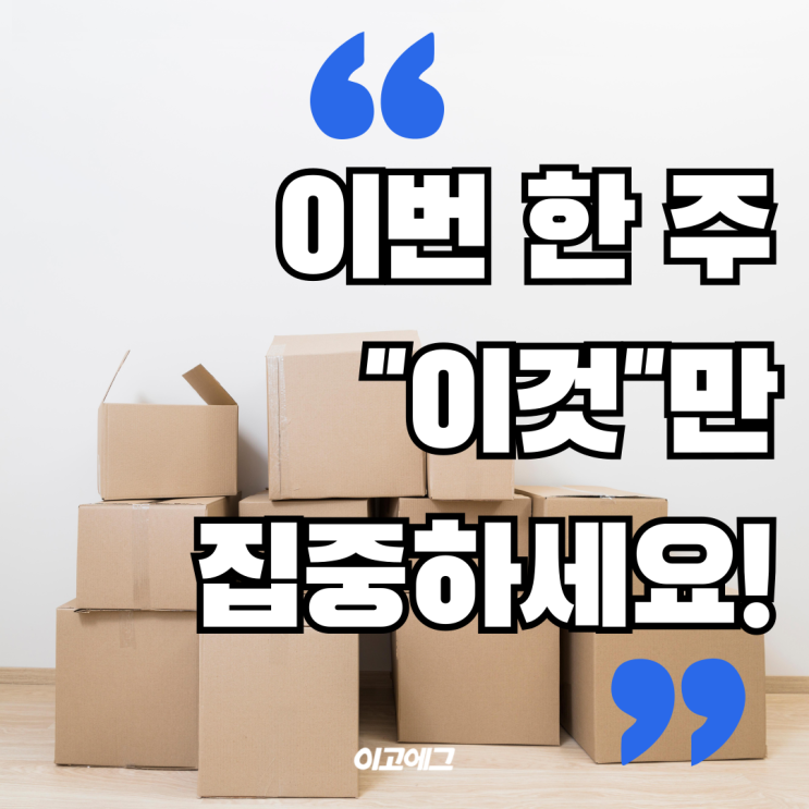  EGOEGG 이고에그 | 이번 한 주 "이것"만 집중하세요!