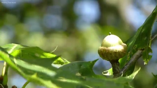  도로교통사고감정사 , 자격증 취득 노하우