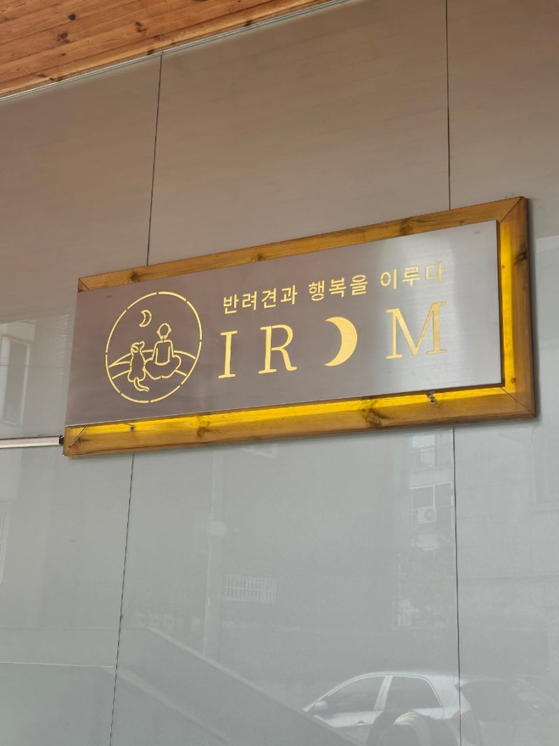 사진 4