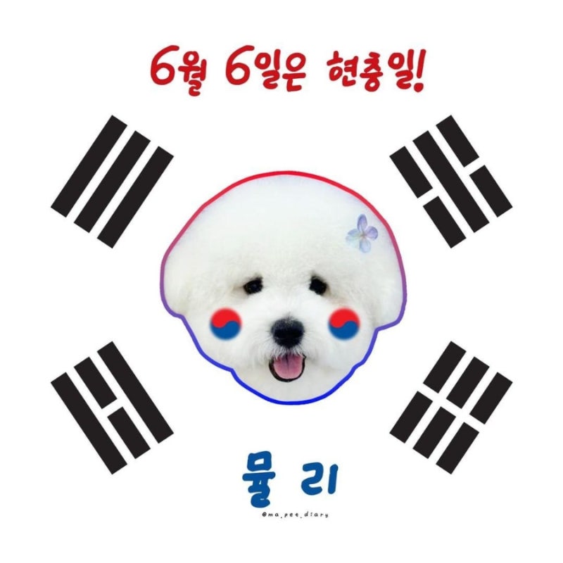 사진 6