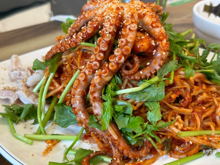  [송파 문정] 문정동 주민 추천 마산아구찜 탕!