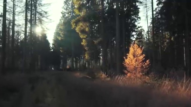  도로교통사고감정사 , 자격증 활용방법