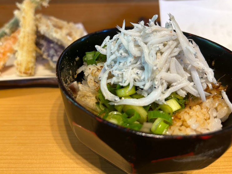  가마쿠라역 코마치도리 상점가와 맛집 미요시 우동 시라스동