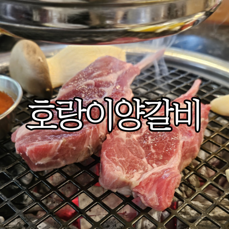 창원 상남동 양갈비맛집 '호랑이양갈비' 상남동회식하기 좋은 창원양고기맛집