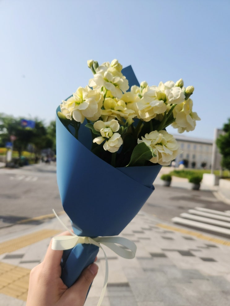  일상 ㅣ 언제나 함께하는 꽃처럼 아름답기를