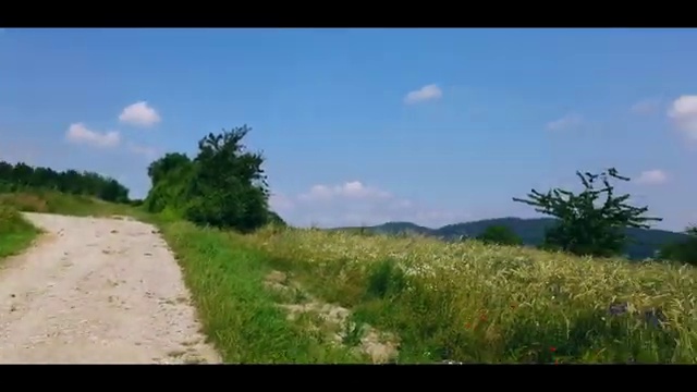  교통사고감정사 , 자격증 활용 방법과 전망