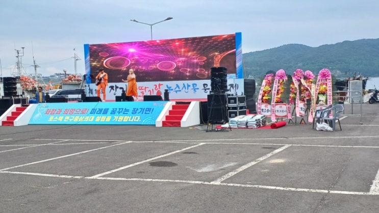  양포항 복합공원 장기산딸기 축제(24. 6. 1~2)